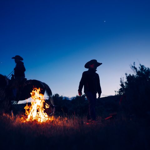 cowboy silhouette beside campfire under night sky