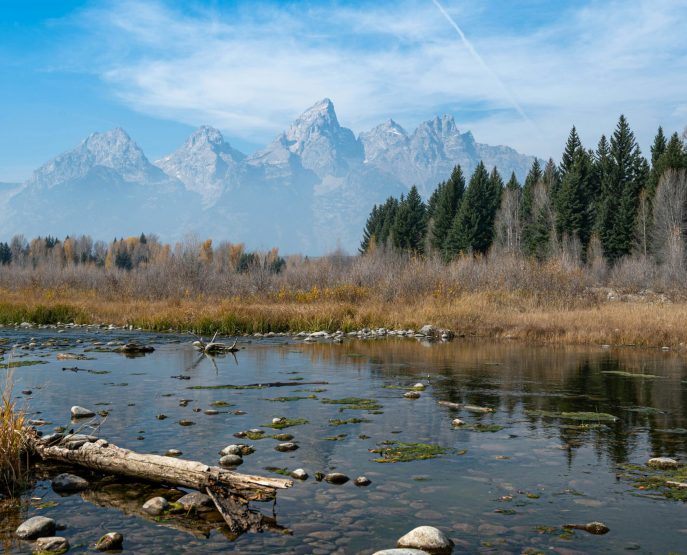 peaceful mountain river flowing through alpine forest landscape